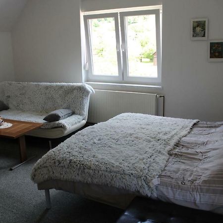 R&G Apartment Zirovnica Dış mekan fotoğraf