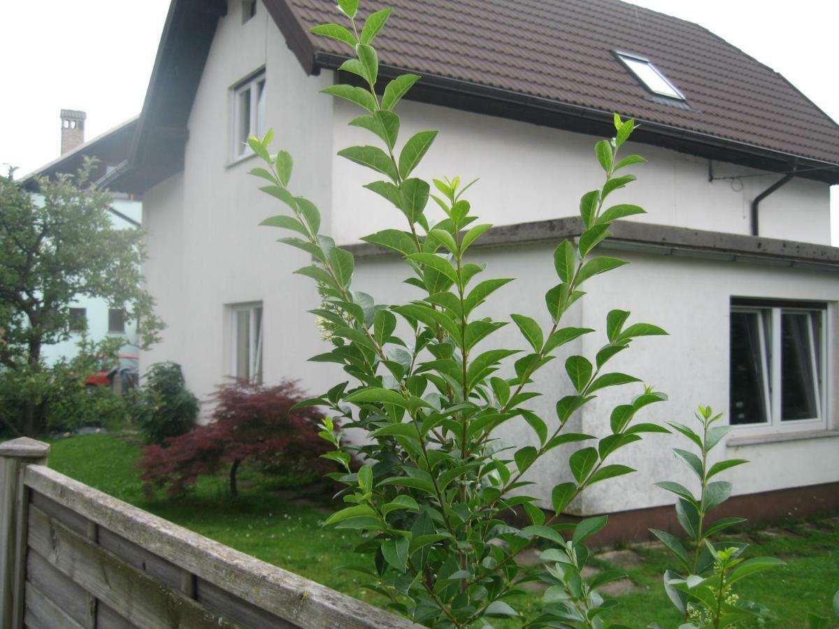 R&G Apartment Zirovnica Dış mekan fotoğraf