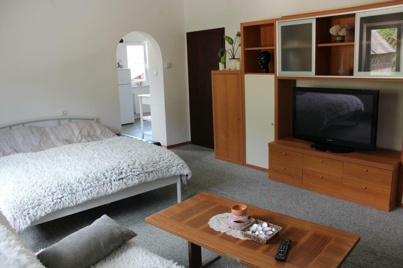 R&G Apartment Zirovnica Dış mekan fotoğraf